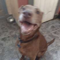 Thumbnail photo of Froto #1