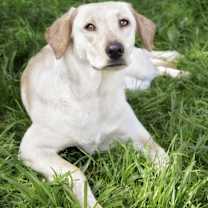 Thumbnail photo of Little Miss #1