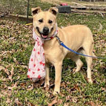 Thumbnail photo of Molly #1