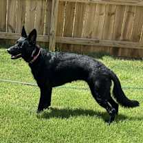 Thumbnail photo of Sunny #2