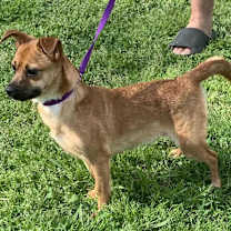 Thumbnail photo of Rosalee #4