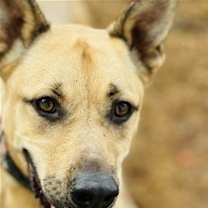 Thumbnail photo of Rennie #1