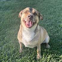 Thumbnail photo of Buddy #3