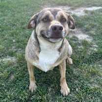 Thumbnail photo of Buddy #4