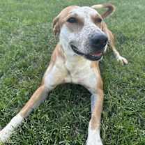 Thumbnail photo of Ginny #2