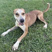 Thumbnail photo of Ginny #4