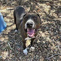 Thumbnail photo of Duran Duran #1