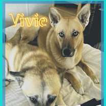 Thumbnail photo of Ethel and Vivian #1