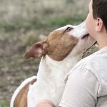 Thumbnail photo of Papaya #3