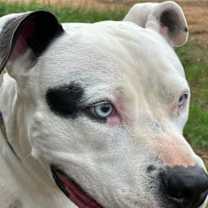 Thumbnail photo of PAX #1