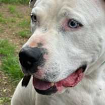 Thumbnail photo of PAX #2