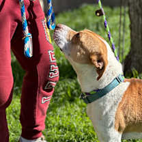 Thumbnail photo of Gucci #2