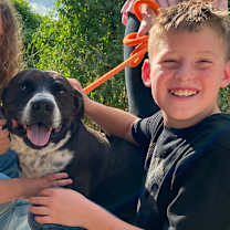 Thumbnail photo of Loki #3