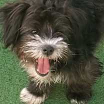 Thumbnail photo of Baby Ella #1