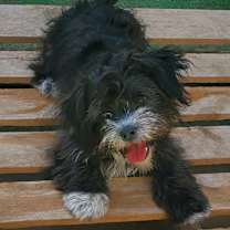 Thumbnail photo of Baby Ella #2