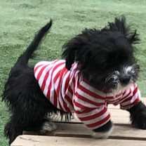 Thumbnail photo of Baby Ella #3