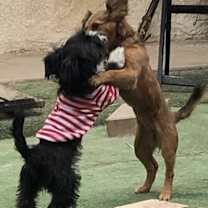 Thumbnail photo of Baby Ella #4