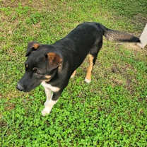 Thumbnail photo of Coco #2