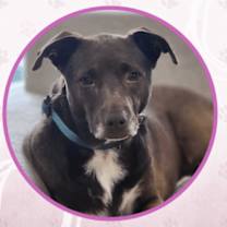 Thumbnail photo of Dany #1