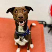 Thumbnail photo of Dany #4