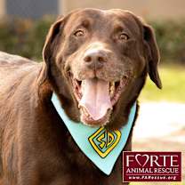 Thumbnail photo of Gunner #2