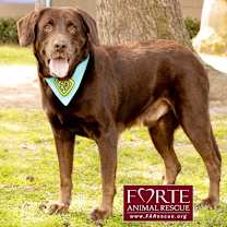 Thumbnail photo of Gunner #3