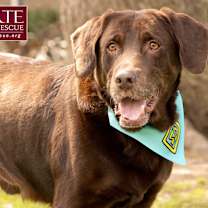 Thumbnail photo of Gunner #4