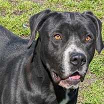 Thumbnail photo of Bruce #1