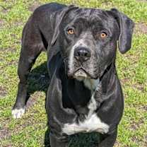 Thumbnail photo of Bruce #3