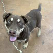 Thumbnail photo of Clyde #2