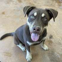 Thumbnail photo of Clyde #3