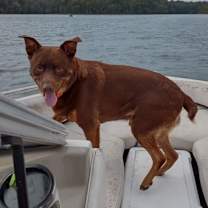 Thumbnail photo of Jack #1