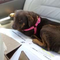 Thumbnail photo of Jack #3