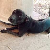 Thumbnail photo of Wendel #1