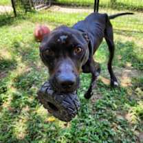 Thumbnail photo of Wendel #2