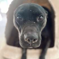 Thumbnail photo of Wendel #3