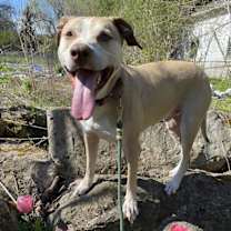 Thumbnail photo of Oakley #3