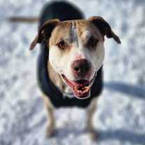 Thumbnail photo of Oakley #4