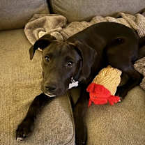 Thumbnail photo of Blossom #1