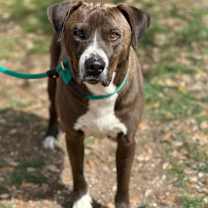 Thumbnail photo of Duran Duran #3