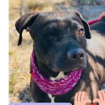 Thumbnail photo of CASSIDY #2