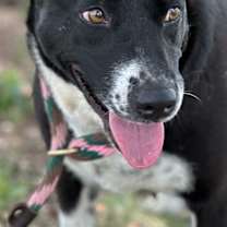 Thumbnail photo of Emma #1