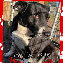 Thumbnail photo of Emma #2