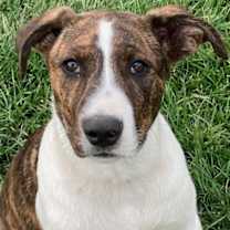 Thumbnail photo of Marty #1