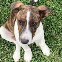 Thumbnail photo of Marty #2