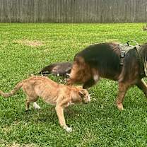 Thumbnail photo of Micah #4