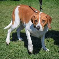 Thumbnail photo of Bagel #3