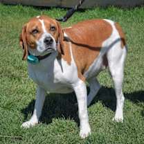 Thumbnail photo of Bagel #4