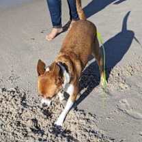 Thumbnail photo of ABIGAIL #4
