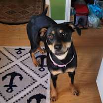 Thumbnail photo of Melanie #1